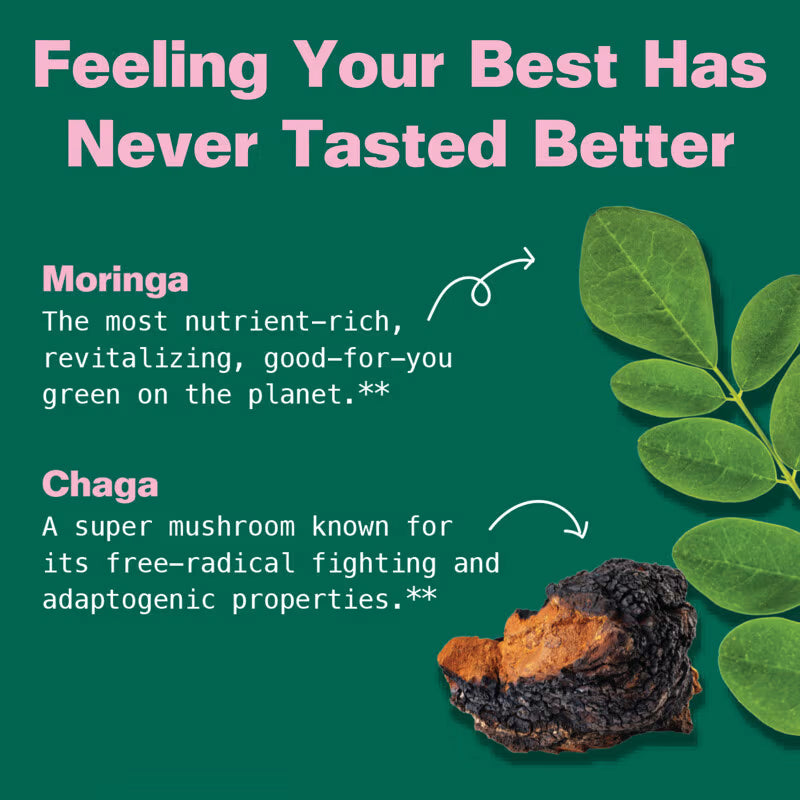 Promotional graphic about Moringa and Chaga with text and images on a green background.
