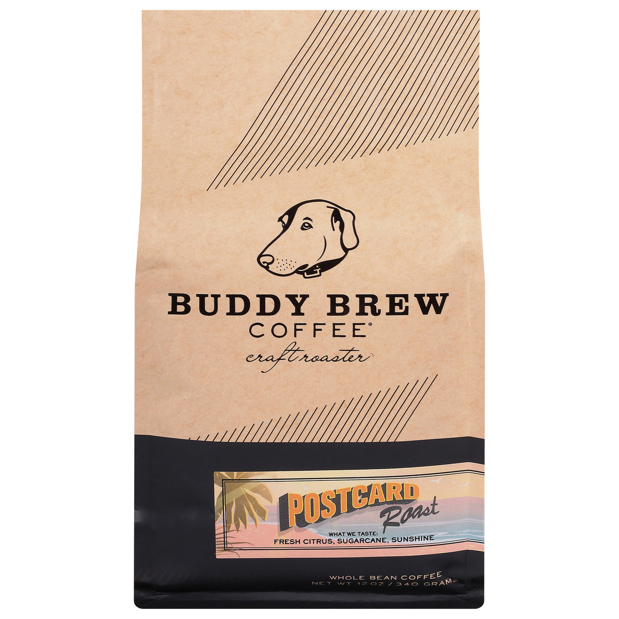 Buddy Brew Coffee Whole Bean Postcard Roast, 12 Oz (Pack of 6) - Cozy Farm