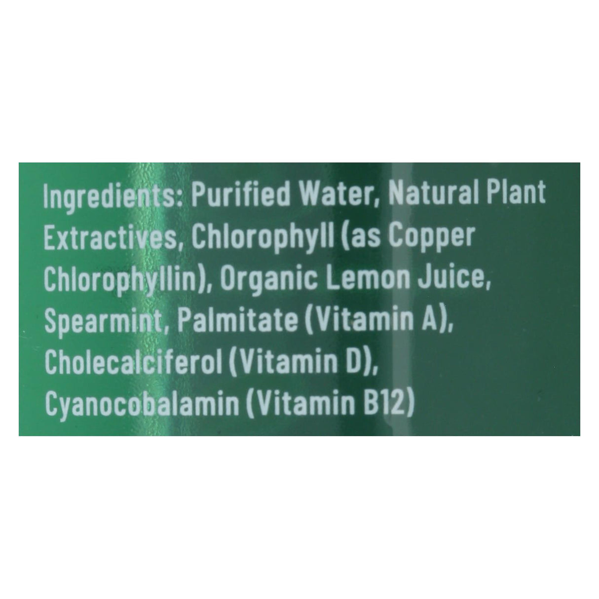 Chlorophyll Water - Liquid Chlorophyll - 16.9 Fl Oz - Pack of 12 - Cozy Farm