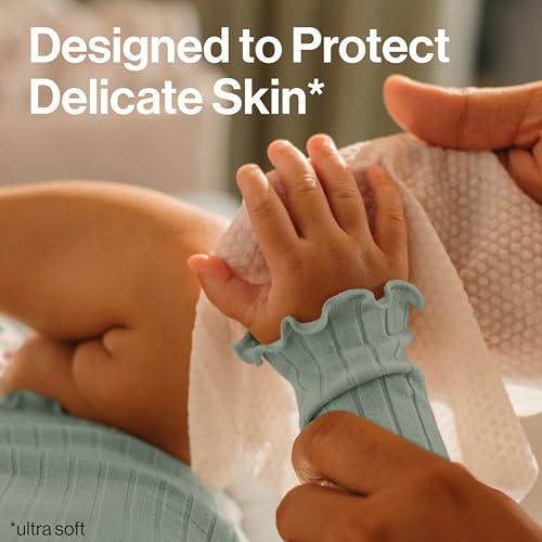 373906536.jpg