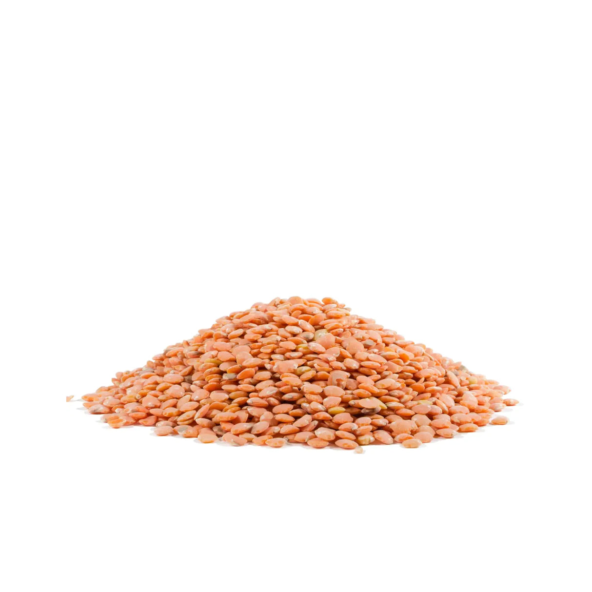 Pile of red lentils on a white background