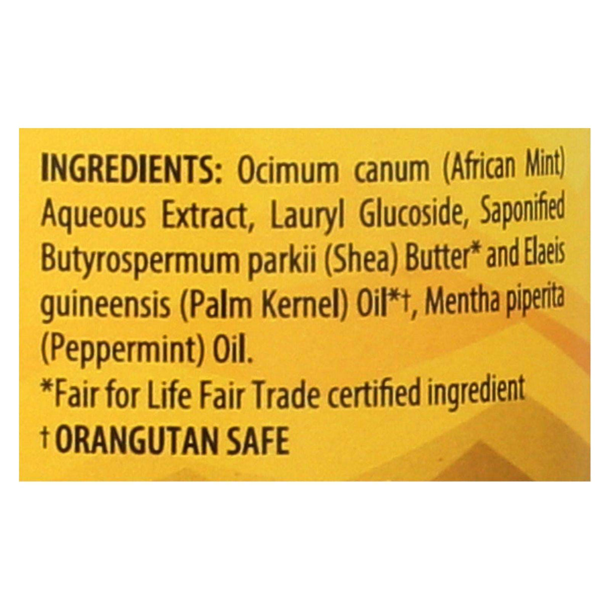 Alaffia African Black Soap with Peppermint - 16 Fl Oz - Cozy Farm