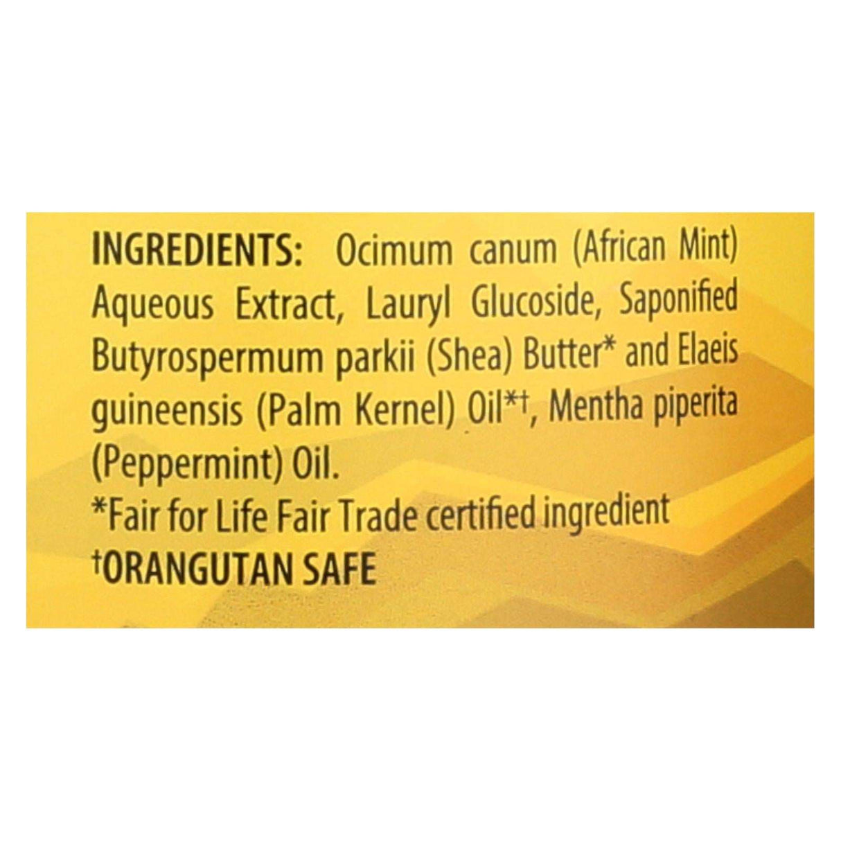 Alaffia African Black Soap with Refreshing Peppermint (32 Fl Oz) - Cozy Farm