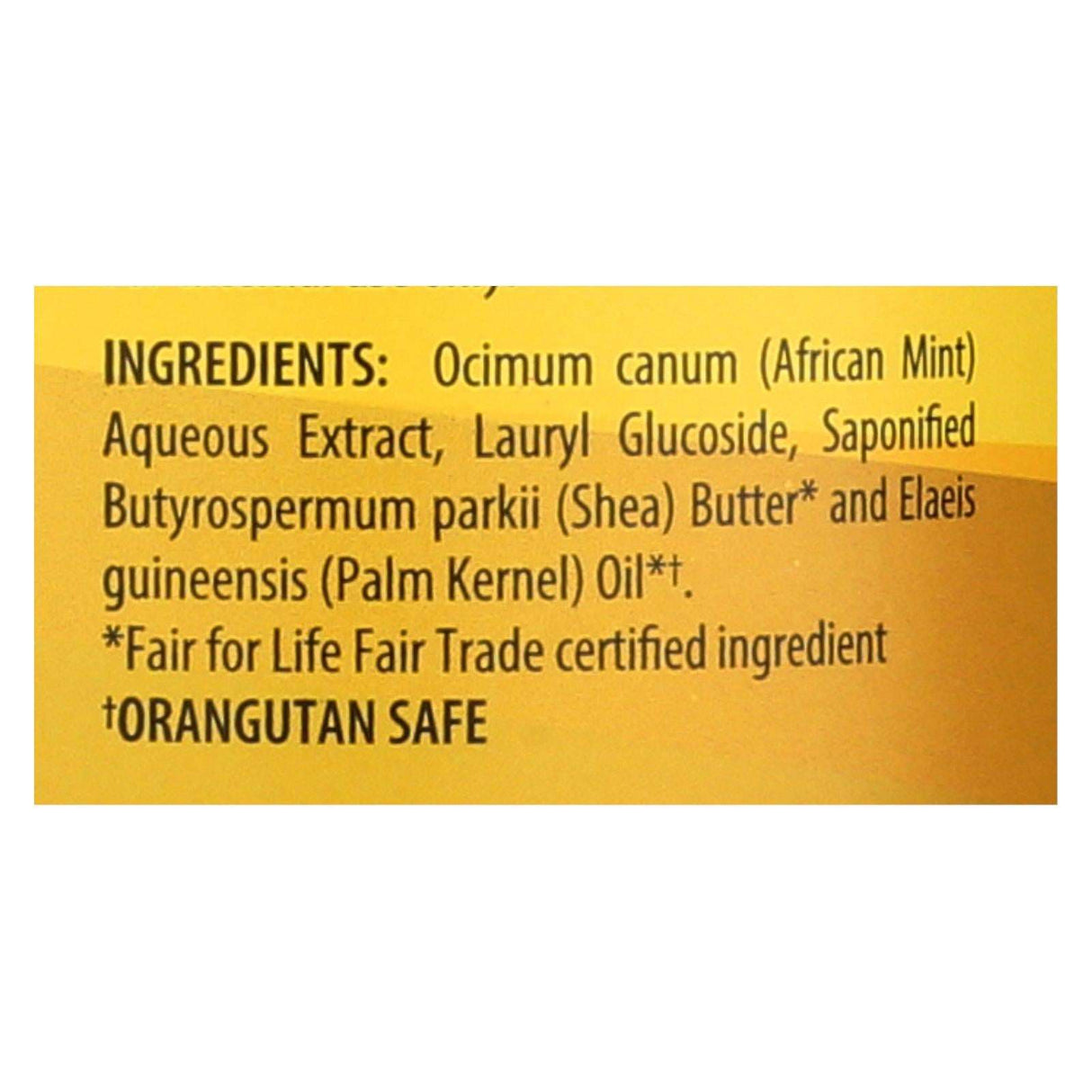 Alaffia Signature Unscented African Black Soap Liquid, 32 Fl Oz - Cozy Farm