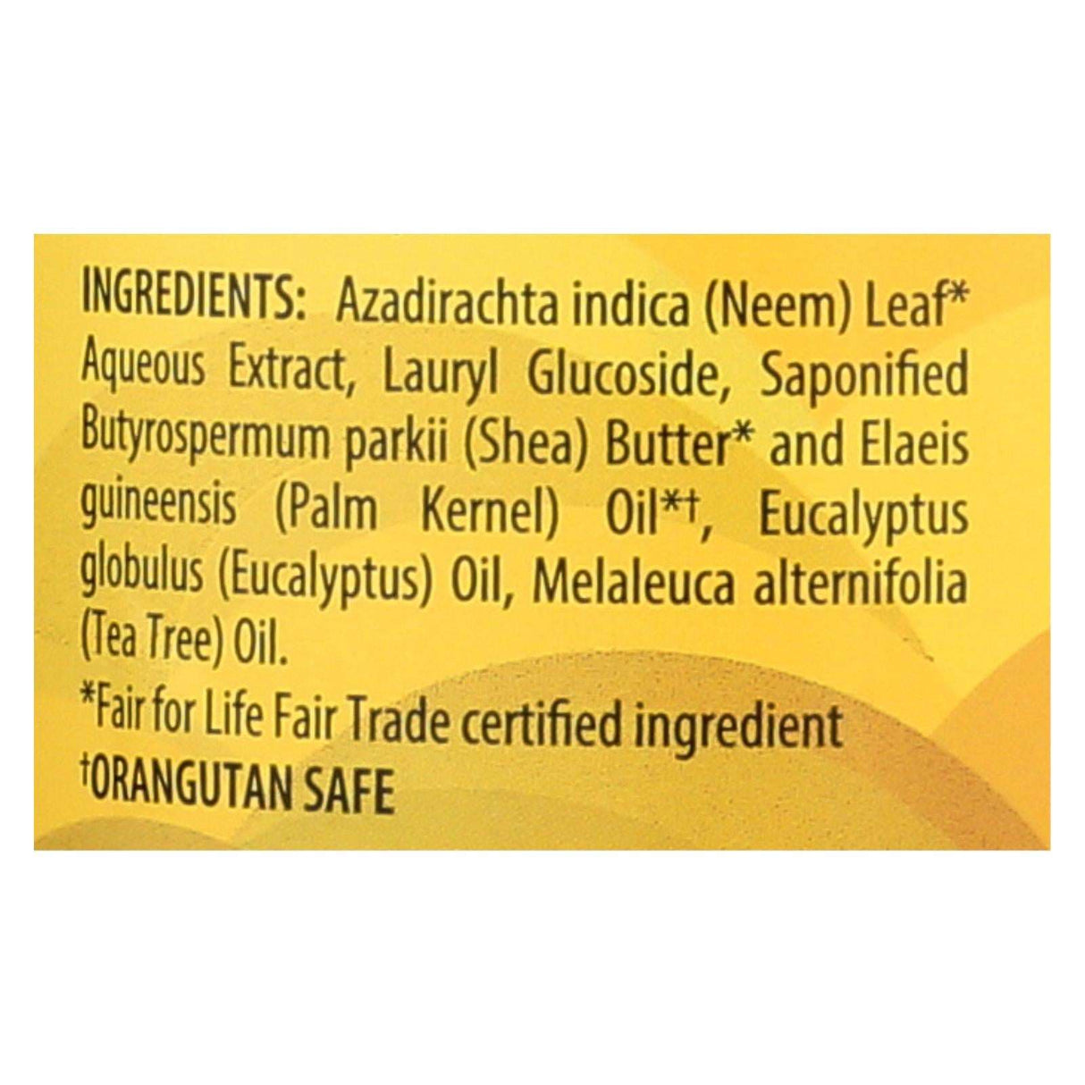 Alaffia African Black Soap with Eucalyptus and Tea Tree - 32 Fl Oz - Cozy Farm