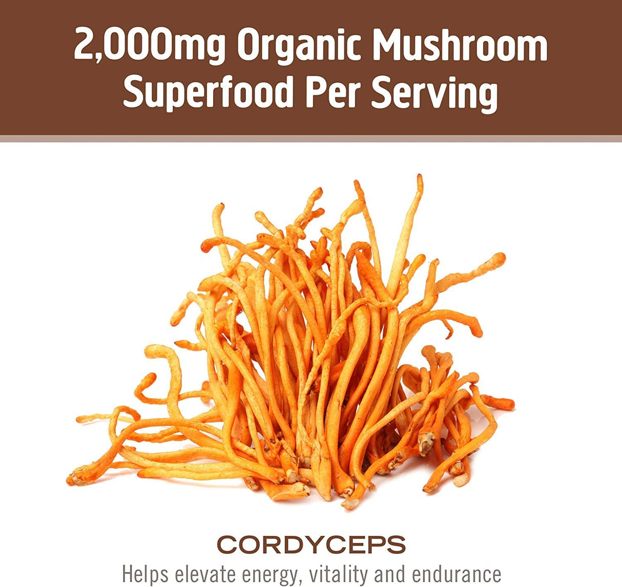 Om Mushroom Superfood Cordyceps Mushroom Capsules, Energy and Endurance Support Supplement, 90 Count - Cozy Farm