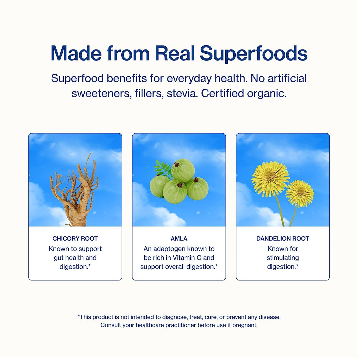 Sunwink Digestion Lemonade Powder Mix - 4.2 Oz - Cozy Farm