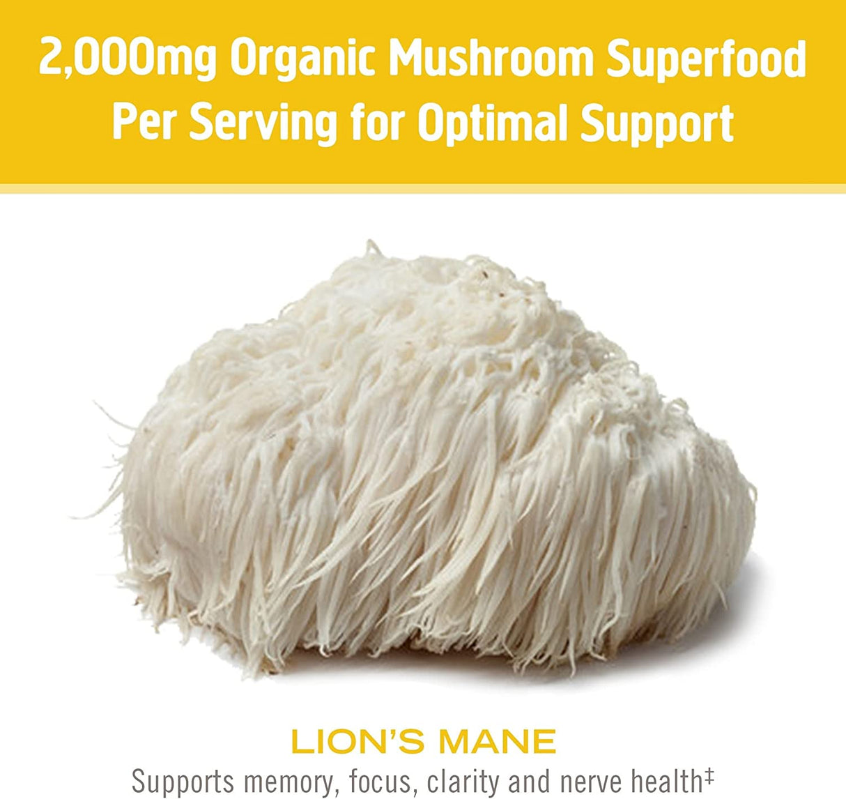 Om Mushroom Superfood Lion's Mane Organic Mushroom Powder, 7.05 Oz - Cozy Farm