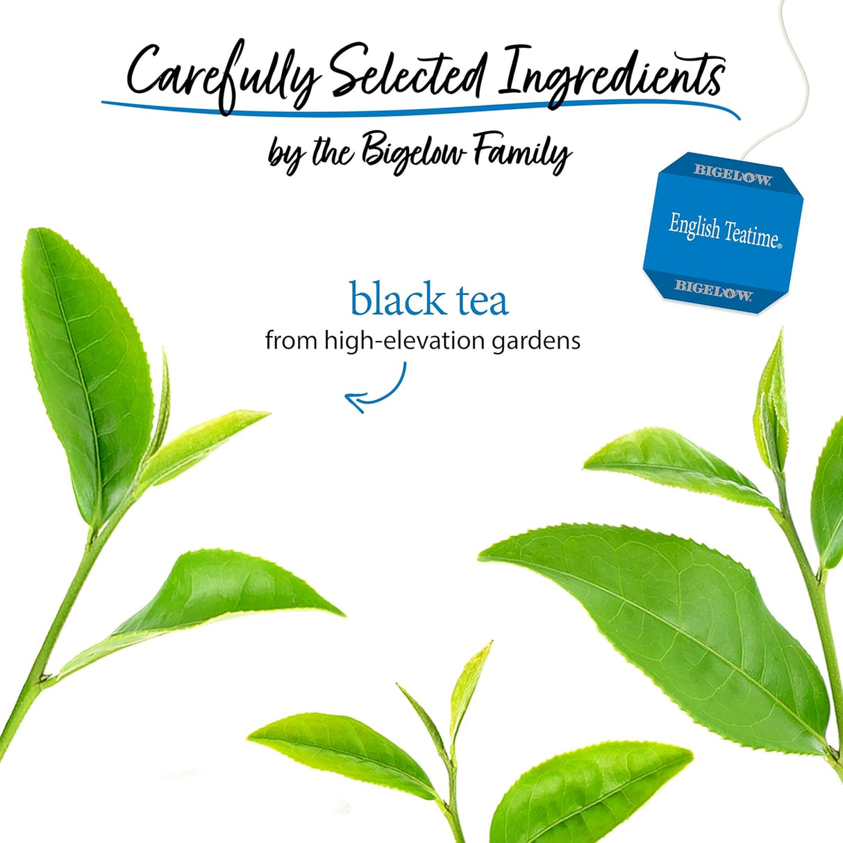 Bigelow English Teatime Black Tea, Premium Blend – 6 Packs of 20 Bags (120 Total)