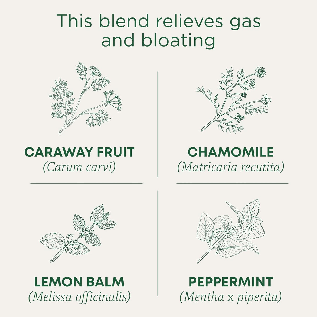 Traditional Medicinals Organic Gas Relief Tea, 16 Bags, Case of 6