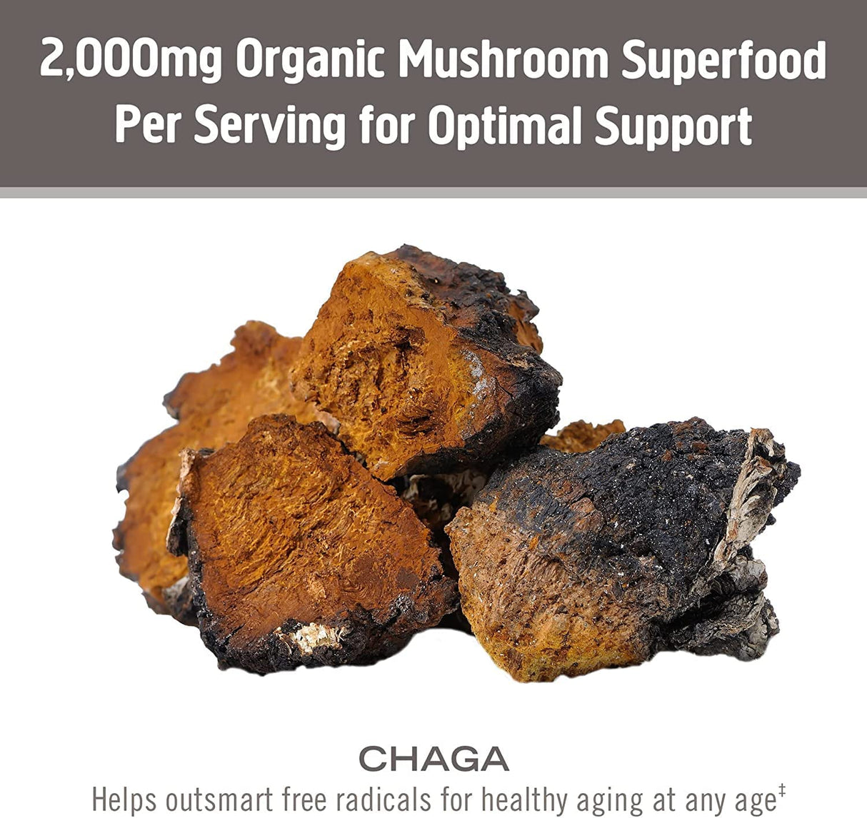 Om Mushroom Superfood Chaga Organic Mushroom Powder, 3.5 Ounce - Cozy Farm