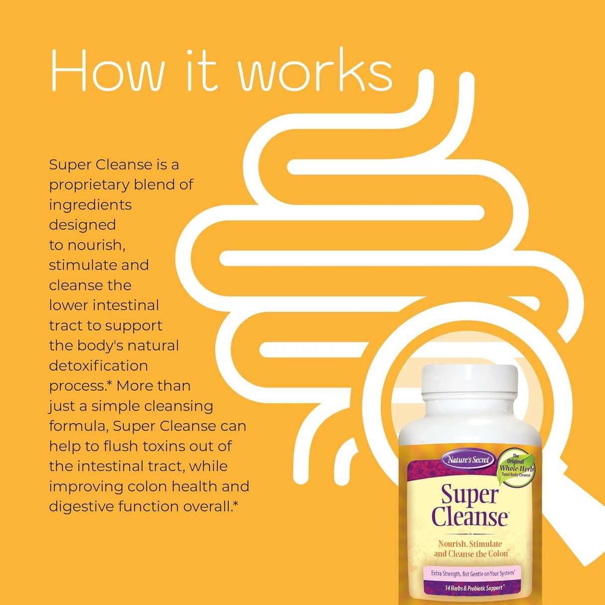Nature's Secret Super Cleanse: 100-Tablet Pack