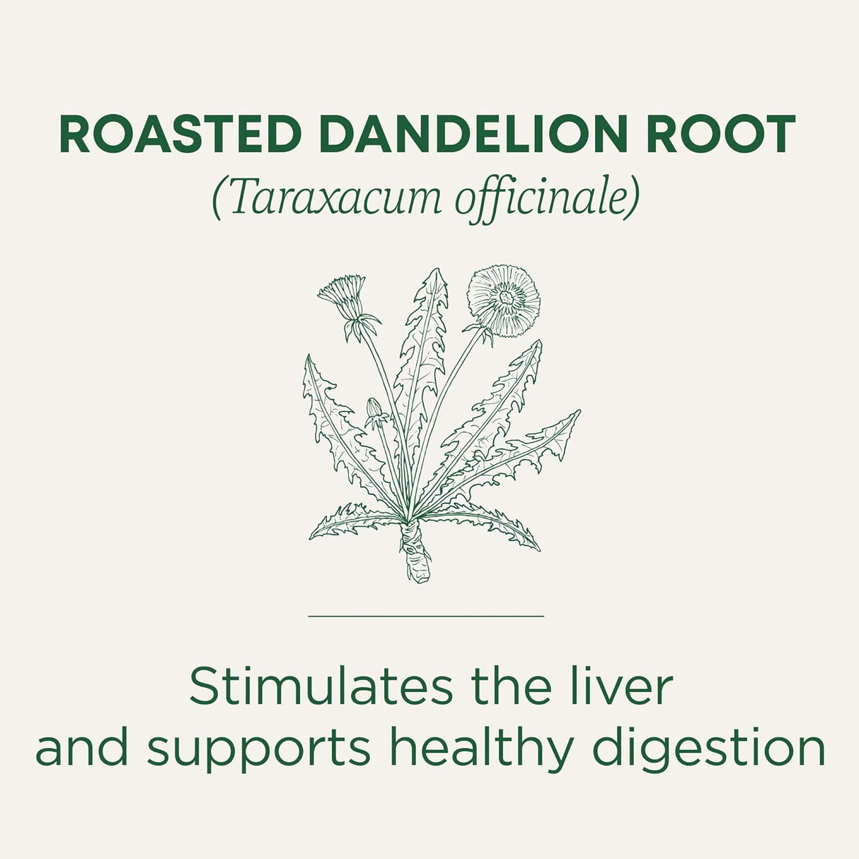 Traditional Medicinals Organic Roasted Dandelion Root Herbal Tea, 16 Tea Bags, Case of 6