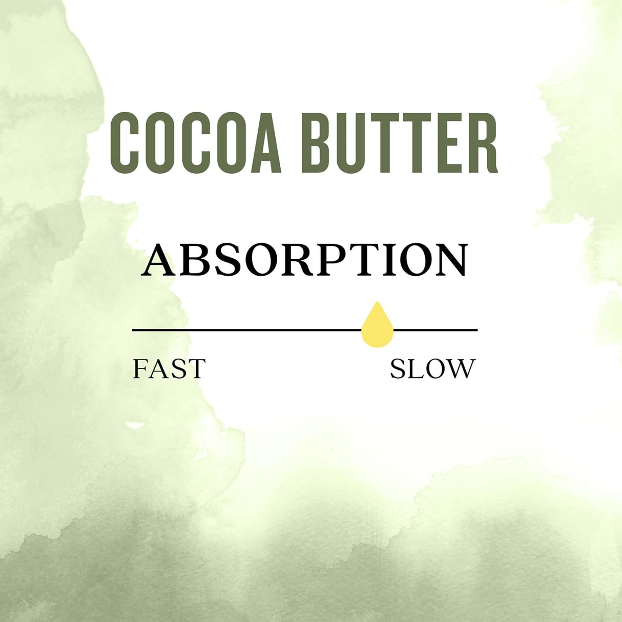 Diagram showing cocoa butter absorption speed with a green gradient background