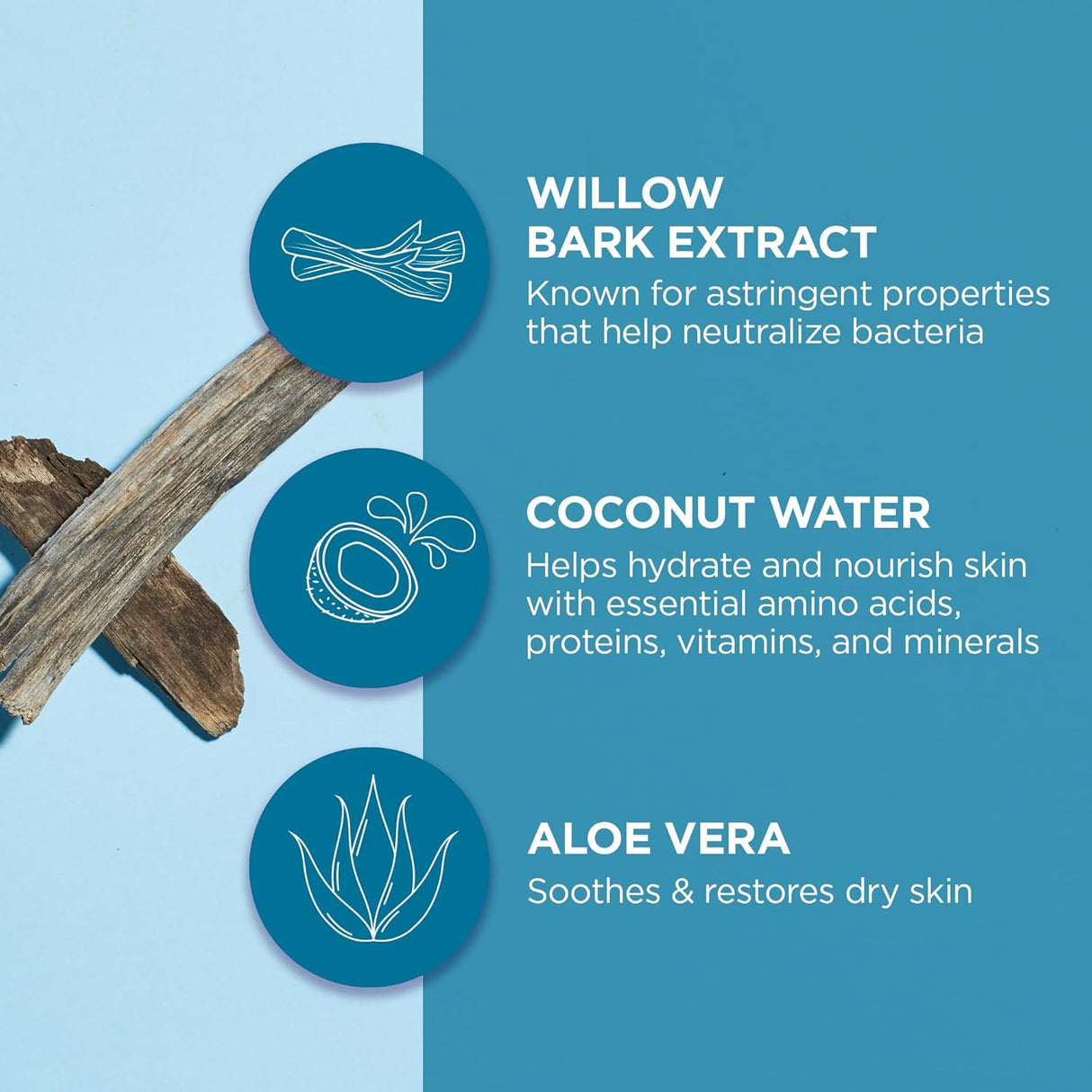 Andalou Naturals Instant Pure Pore Facial Mask, Coconut Water Clarifying, Case of 6, 0.6 Fl Oz – Natural Pore Refining Treatment