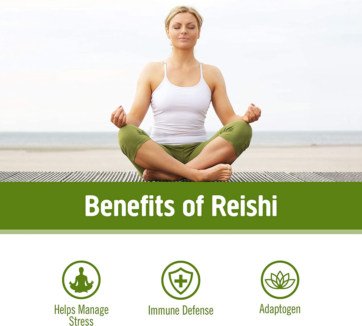 Om Mushroom Superfood Reishi Organic Mushroom Powder, 3.5 Ounce - Cozy Farm