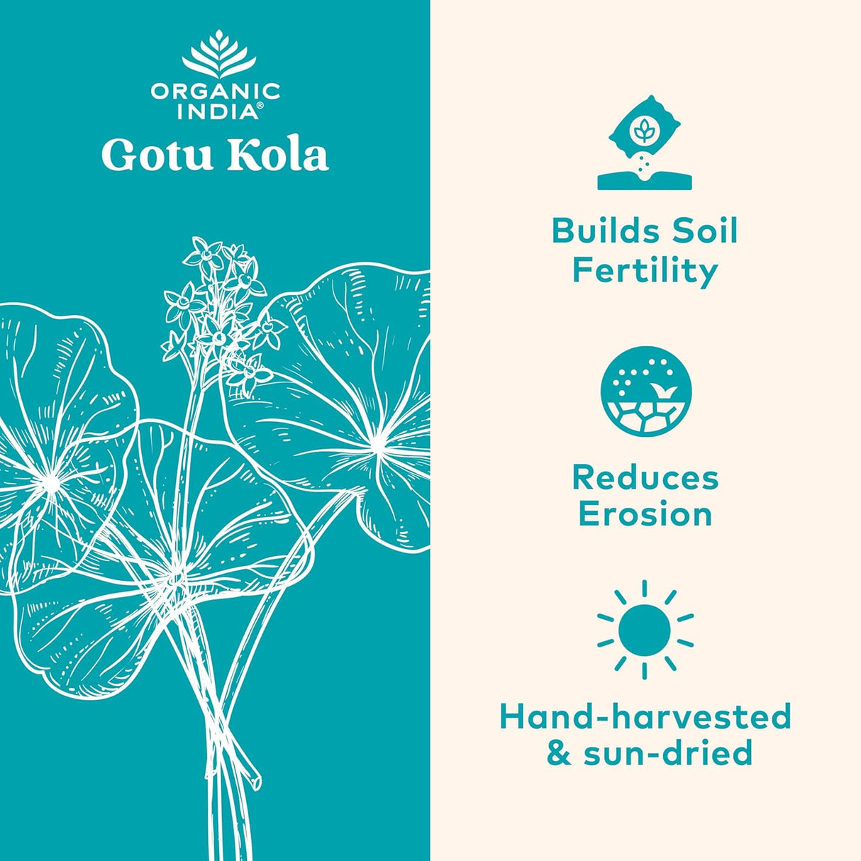 Organic India Gotu Kola Wellness Supplements, 90 Vegan Capsules