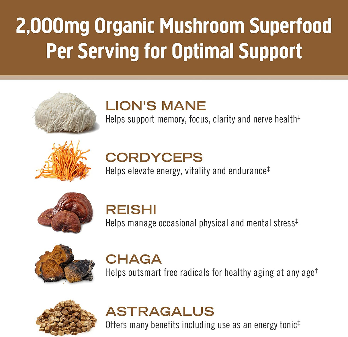 Om Mushroom Coffee Latte Blend 8.47oz - Cozy Farm