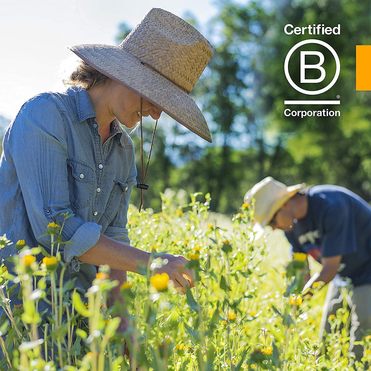 Herb Pharm Kids Ear Mullein Garlic Oil - Natural Earache Relief for Children - 1 Fl Oz - Cozy Farm