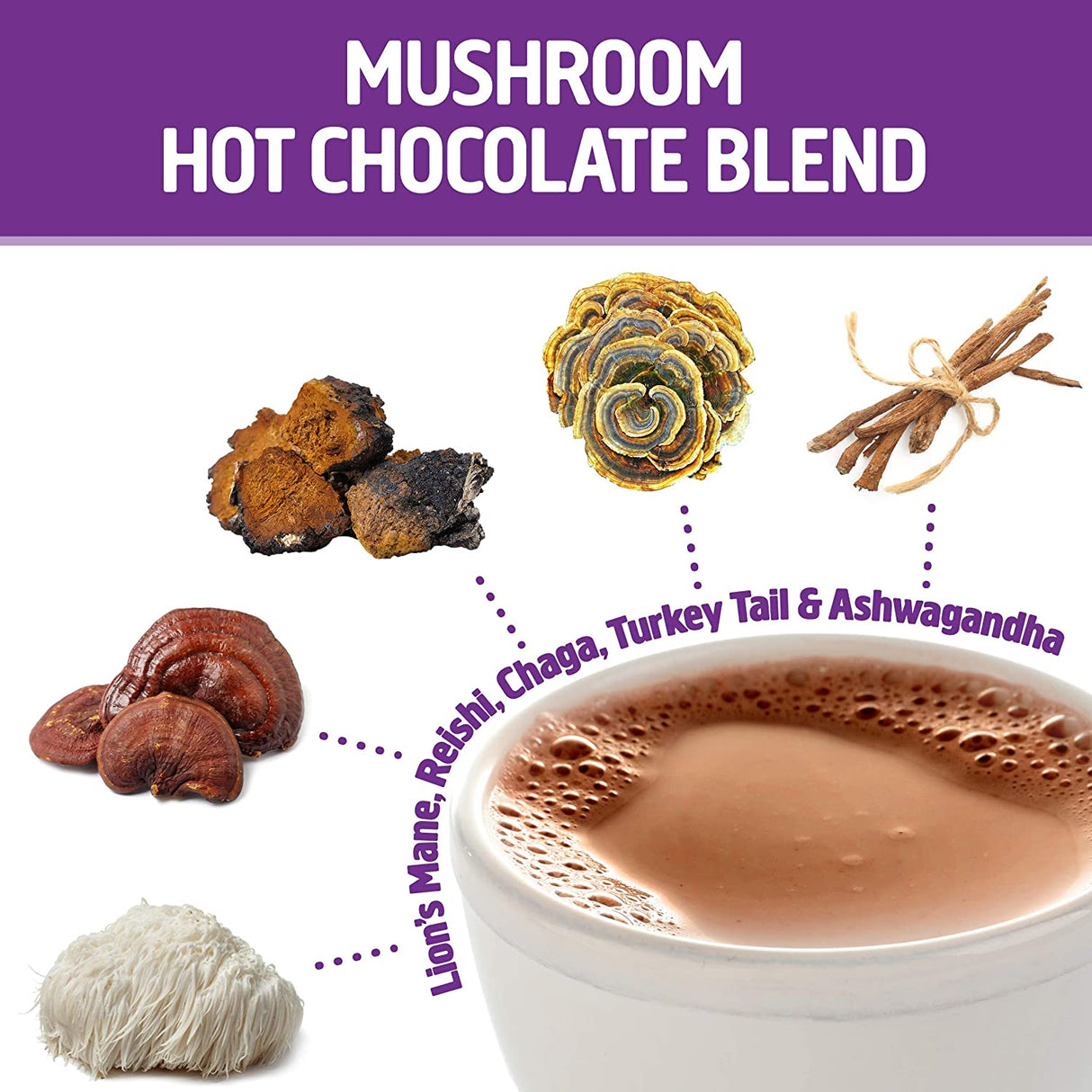 Om Mushroom Superfood Hot Chocolate Blend | Single Serve | 10 Count | Lion's Mane, Reishi, Chaga, Turkey Tail - Cozy Farm