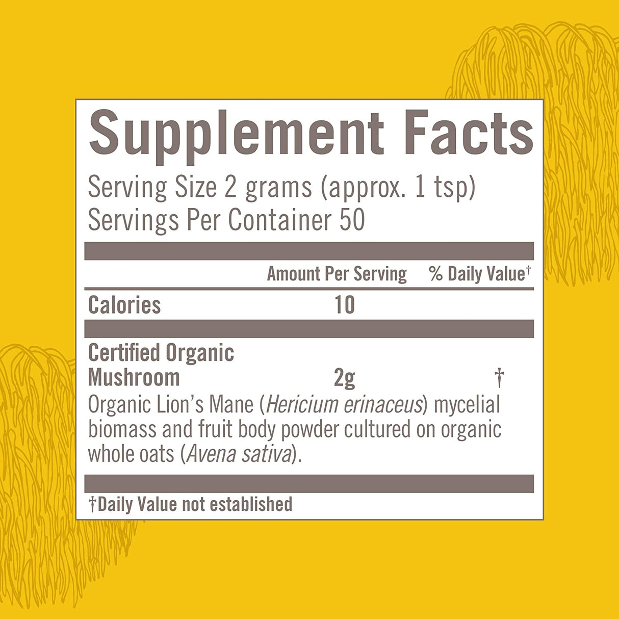 Om Mushroom Superfood Lion's Mane Organic Mushroom Powder 3.5 Oz - Cozy Farm