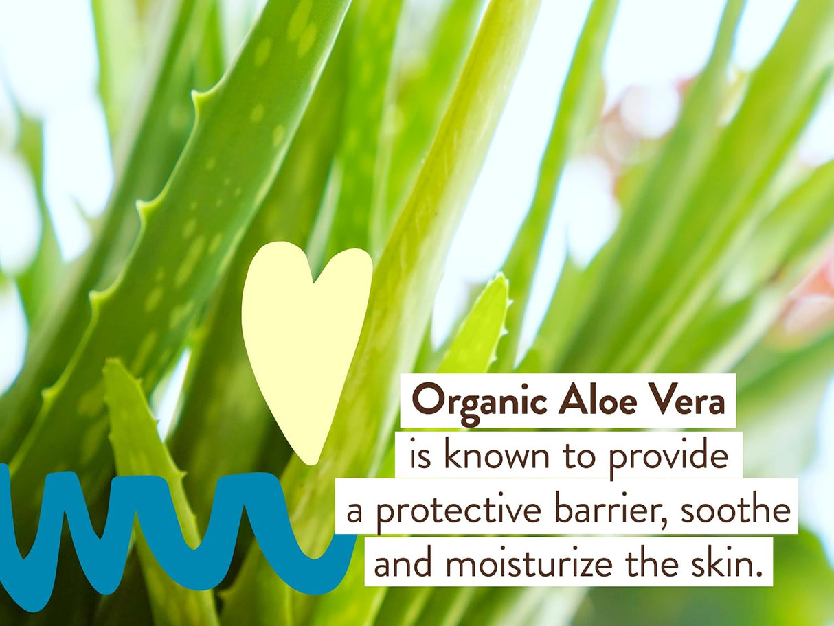 Close-up of aloe vera plant with text about its skin benefits.