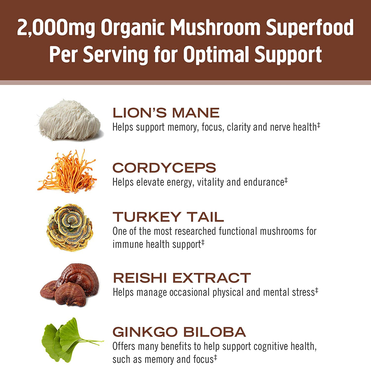 Om Mushroom Superfood Coffee Blend Mushroom Powder, Single Serve, 10 Count - Cozy Farm