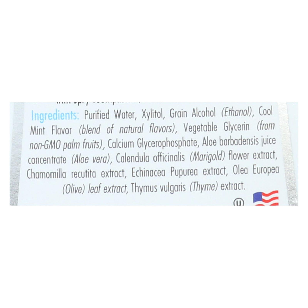 Spry Natural Oral Rinse, 16 Fl Oz | Cool Mint - Cozy Farm