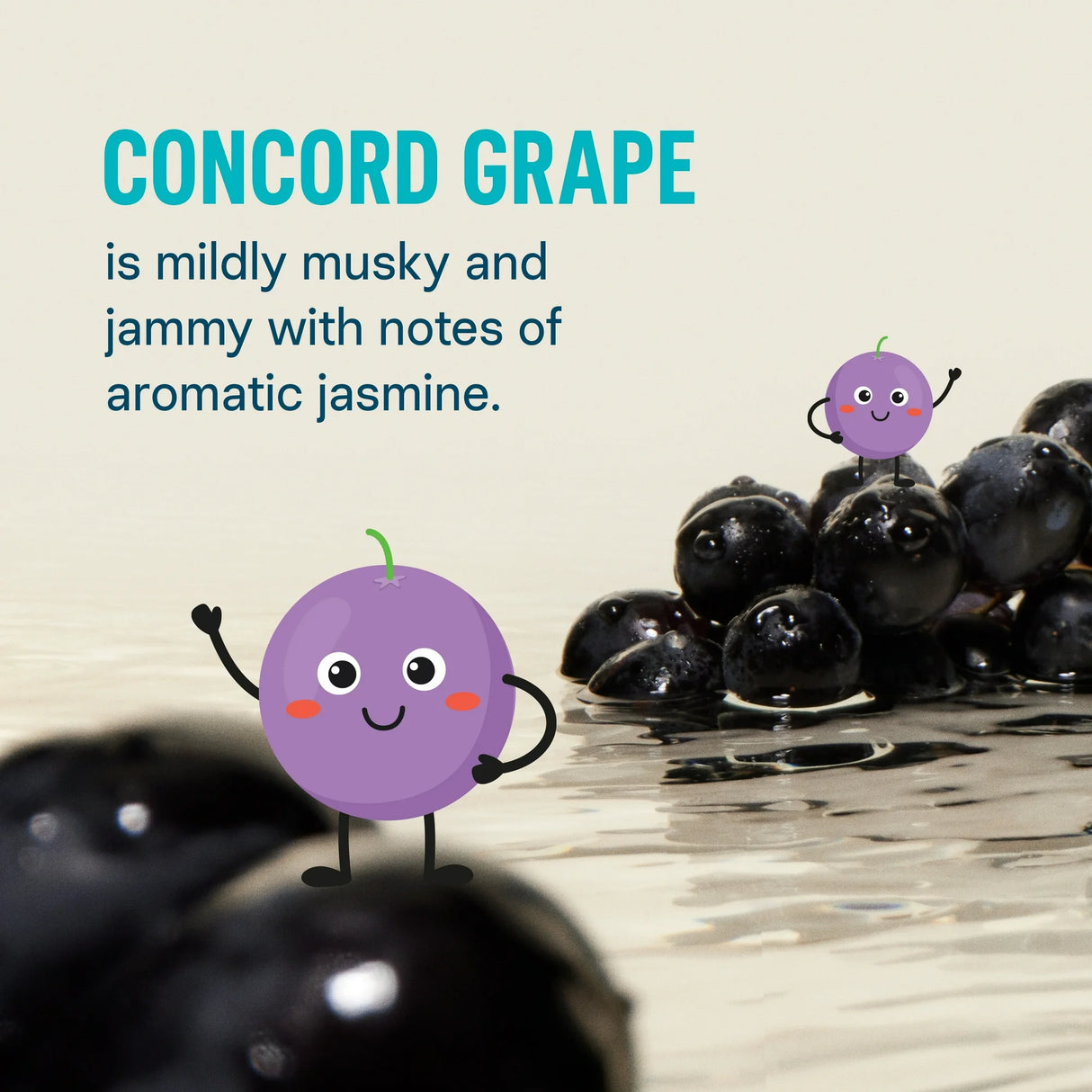 Liquid I.V. Kids Hydration Drink Mix - Grape - 8Single-Serving Packets