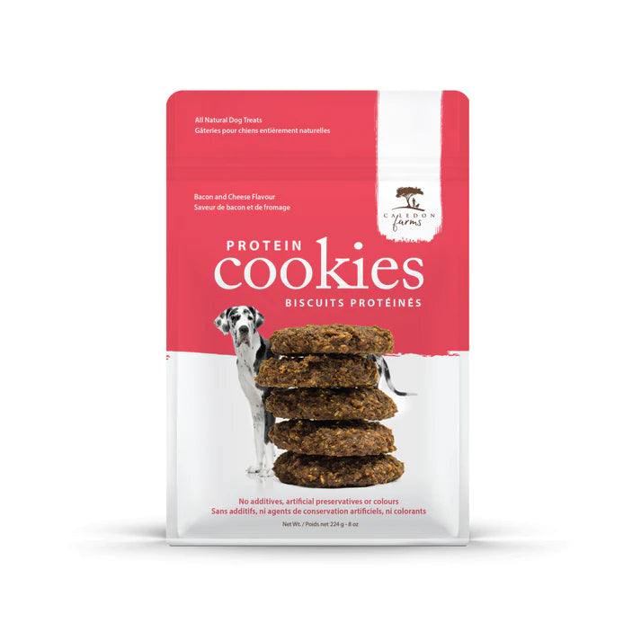Caledon Farms Protein Dog Treats: Savory Bacon Cheddar Cookie Delights (Pack of 4) - Cozy Farm