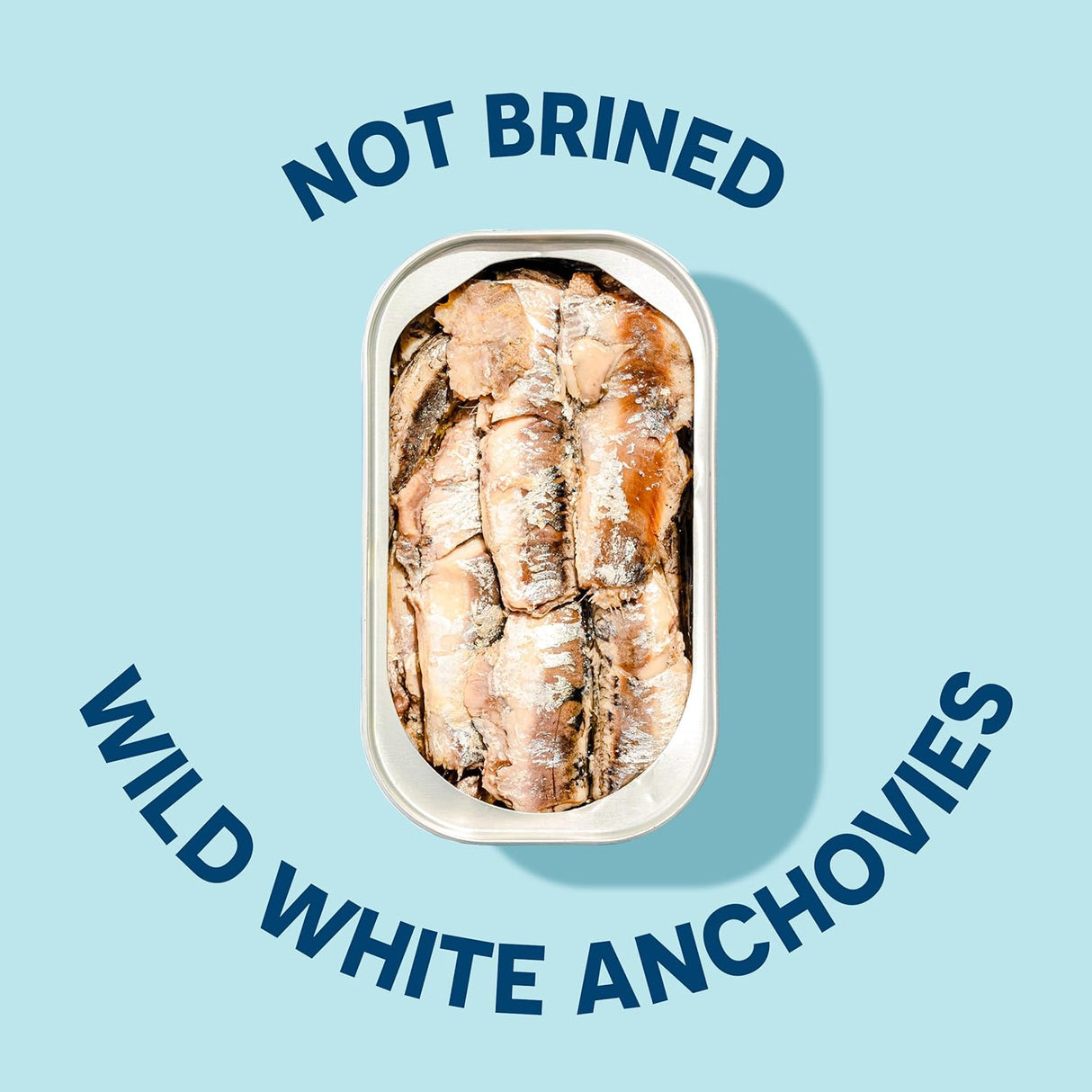 Can of wild white anchovies on a light blue background with text indicating they are not brined.