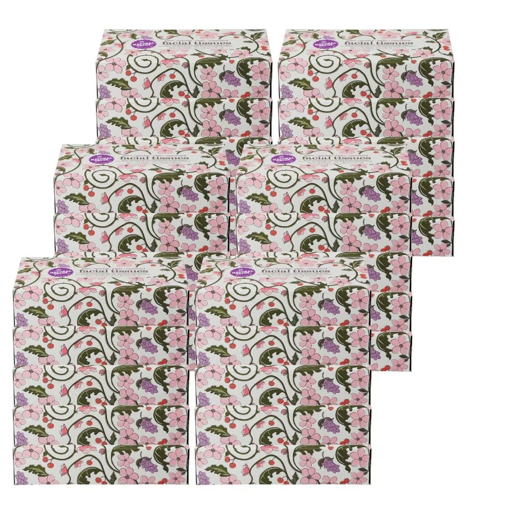 Pañuelo facial Natural Value de 2 capas, paquete de 100 unidades, estuche de 30