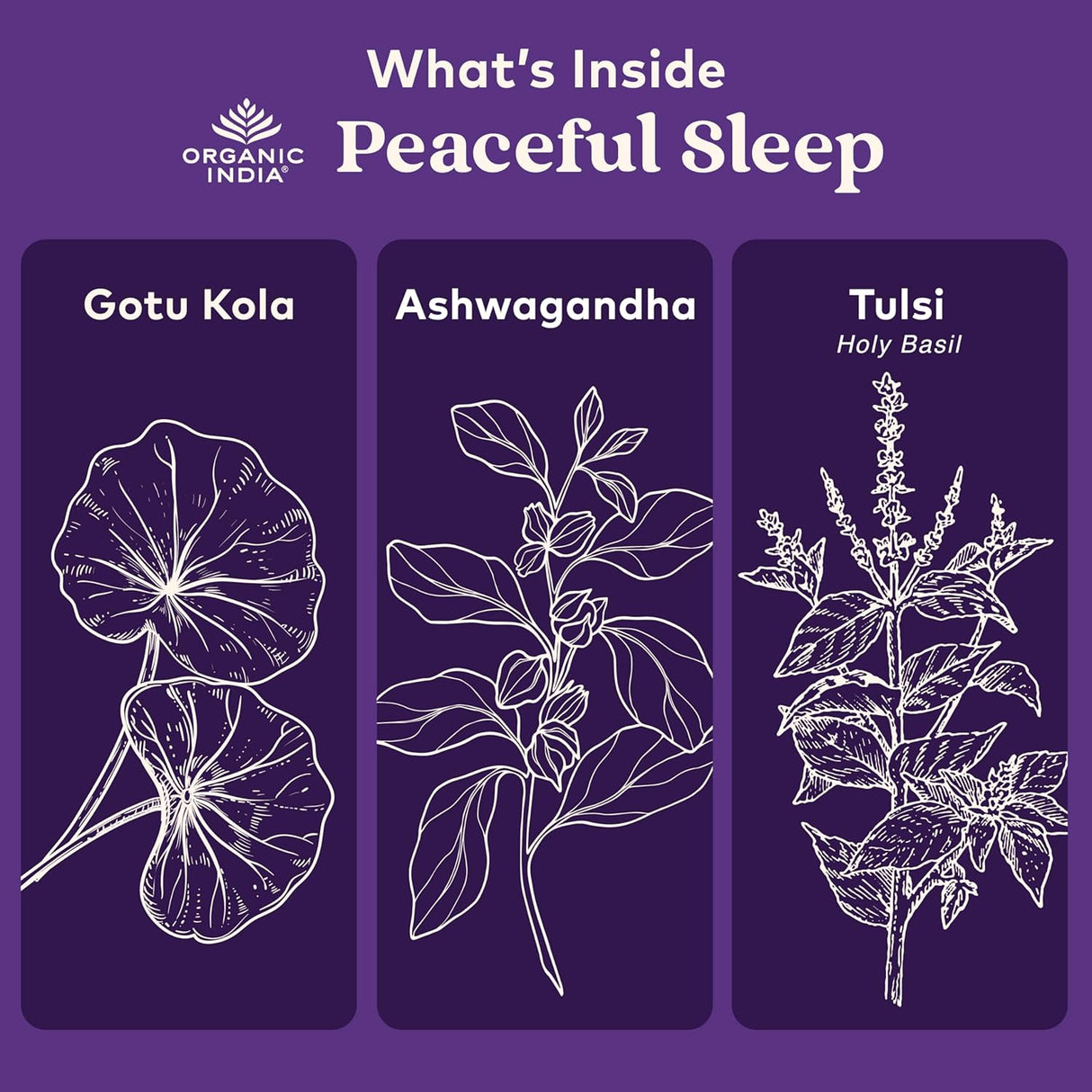 Illustrations of Gotu Kola, Ashwagandha, and Tulsi with Organic India logo on a purple background