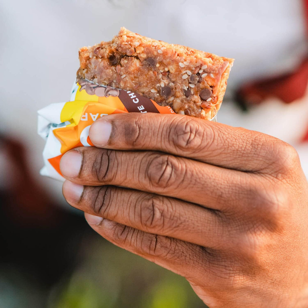 Pro Bar Peanut Butter Chocolate Chip Bar