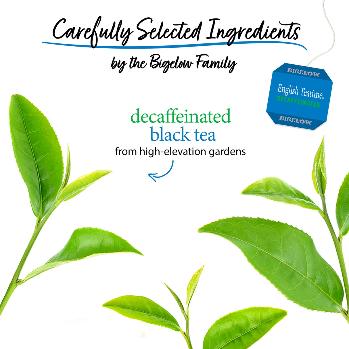 Tea leaves with Bigelow tea bag and text about carefully selected ingredients and decaffeinated black tea.