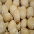 Macadamia Nuts, 5 Lb | Premium Quality Raw Macadamia Nuts - Cozy Farm