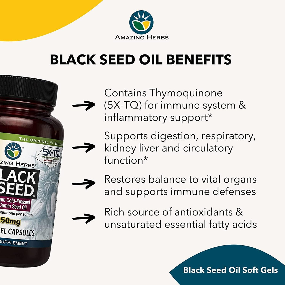 black seed oil benefits