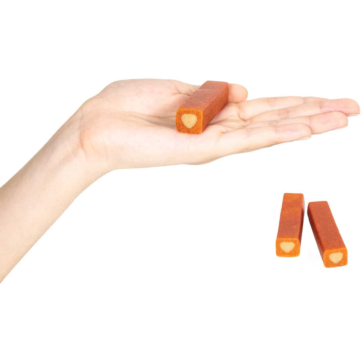 Ark Naturals Brushless Toothpaste Protection+ for Dogs - 18 Oz - Cozy Farm