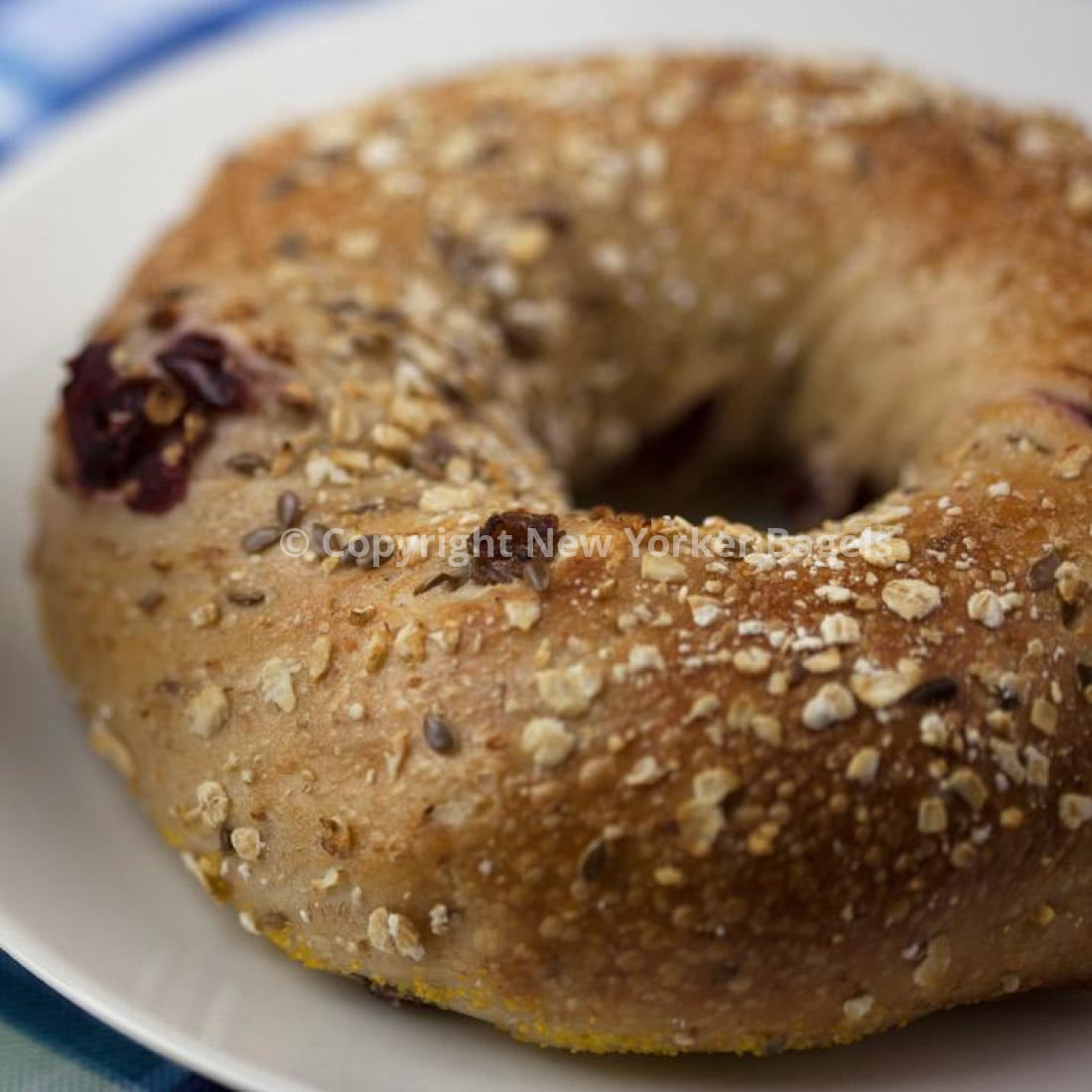 New York Cranberry Energy Bagels, Fresh Hand-Rolled NYC Bagels, Gift Box