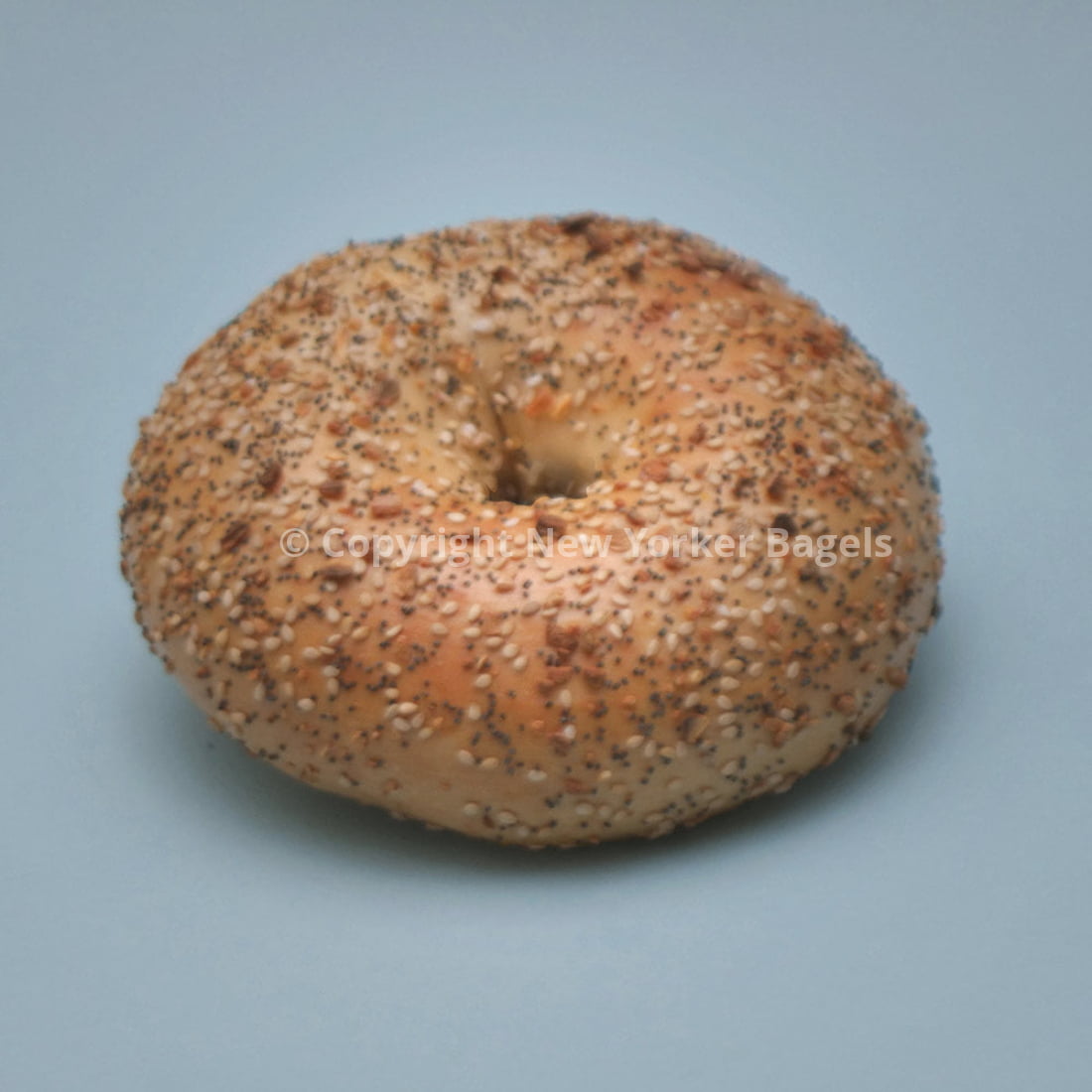 New York Everything Bagels, 2 Dozen, Fresh Hand-Rolled NYC Bagels