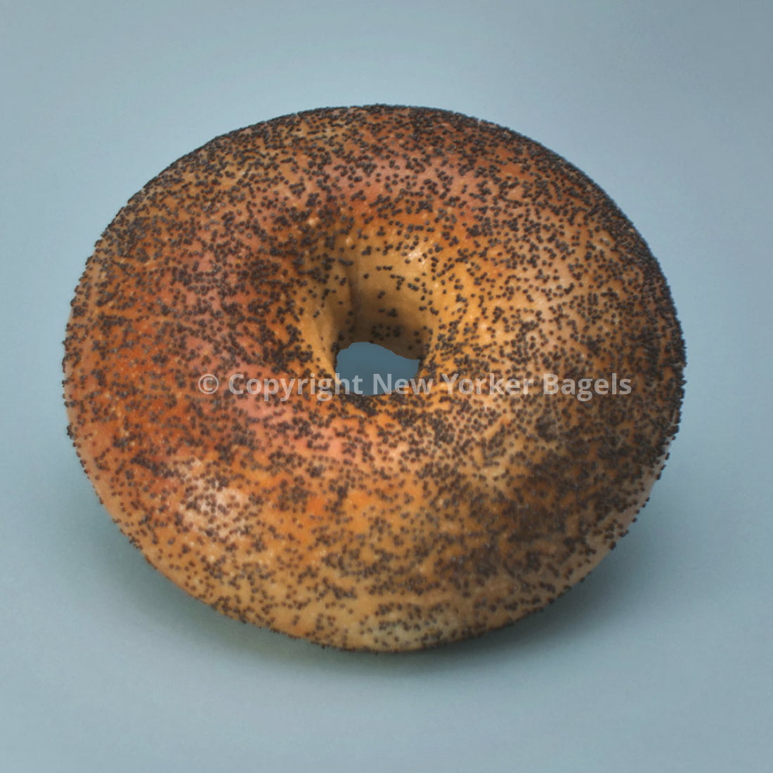 New York Poppy Seed Bagels, 2 Dozen, Fresh Hand-Rolled NYC Bagels