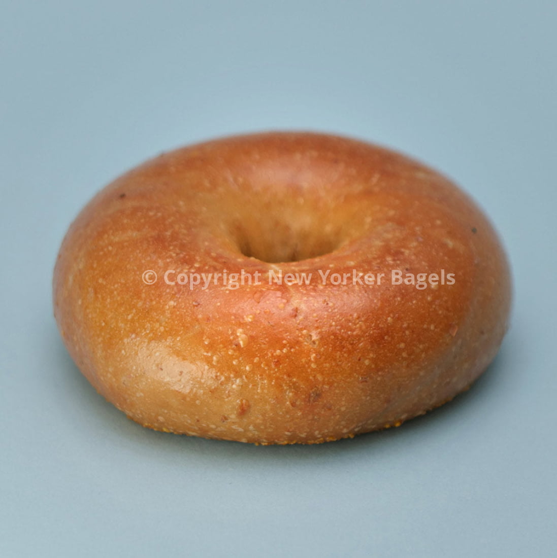 New York Whole Wheat Bagels, 2 Dozen, Fresh Hand-Rolled NYC Bagels