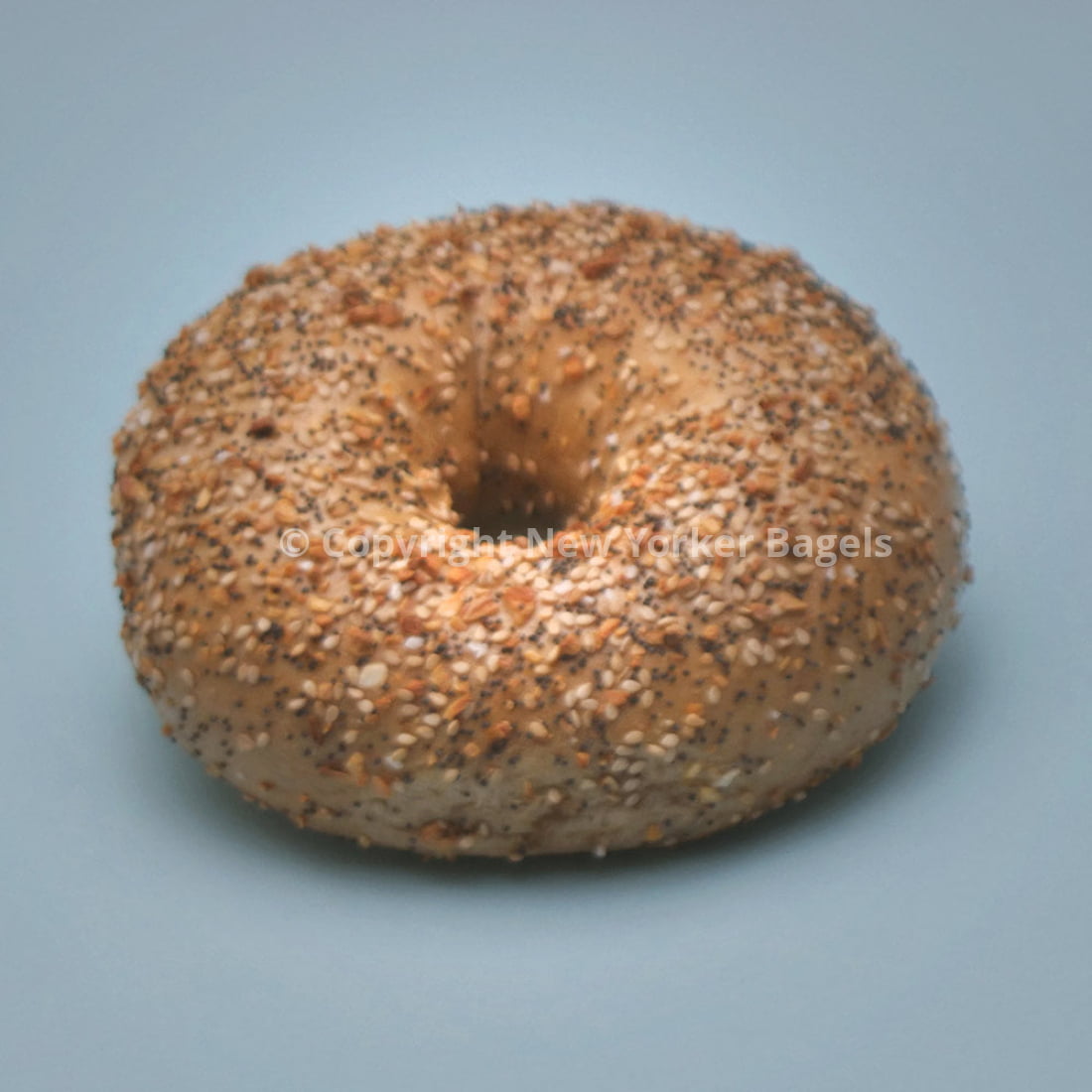 New York Whole Wheat Everything Bagels, 2 Dozen, Fresh Hand-Rolled NYC Bagels