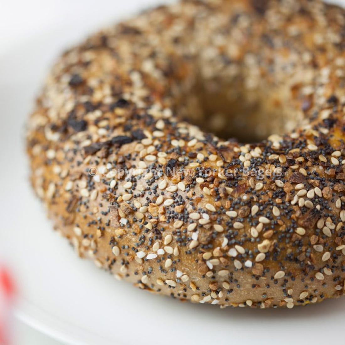 New York Whole Wheat Everything Bagels, Fresh Hand-Rolled NYC Bagels, Gift Box