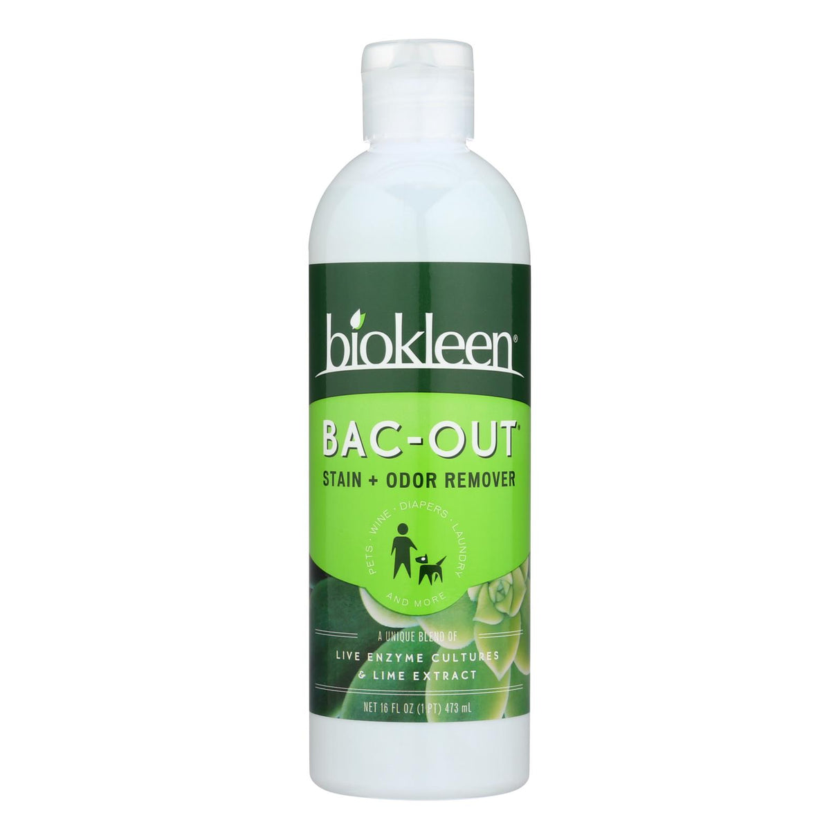 Biokleen Bac-Out: Odor Eliminating Stain Remover (6 Pack, 16 Fl Oz Each) - Cozy Farm