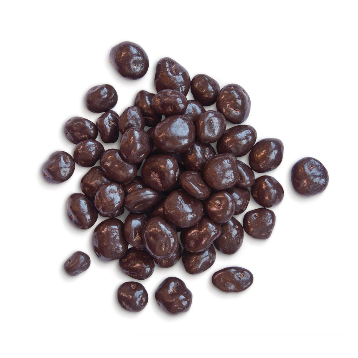 Woodstock Jumbo Dark Chocolate Raisins - 15 lb Bulk - Cozy Farm