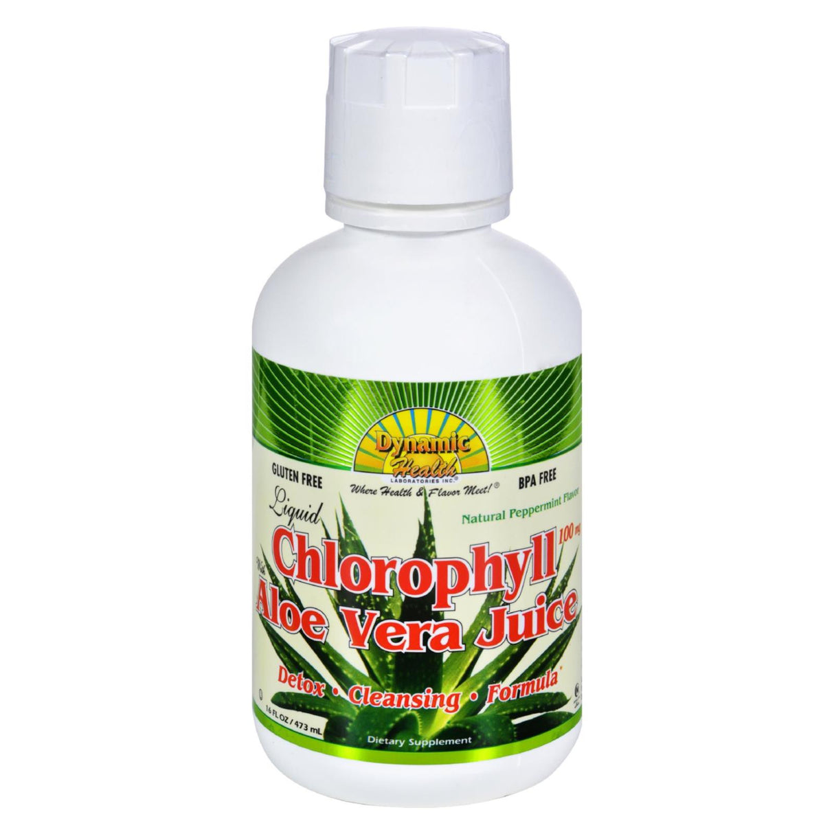 Dynamic Health Liquid Chlorophyll with Aloe Vera and Spearmint - 16 Fl Oz. - Cozy Farm