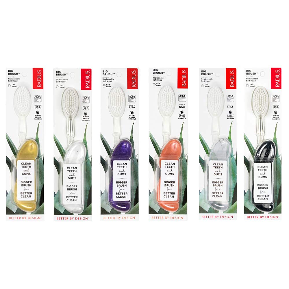 Radius ToothBrush Forever Big Kidz Electric Toothbrush, 6-Count - Cozy Farm