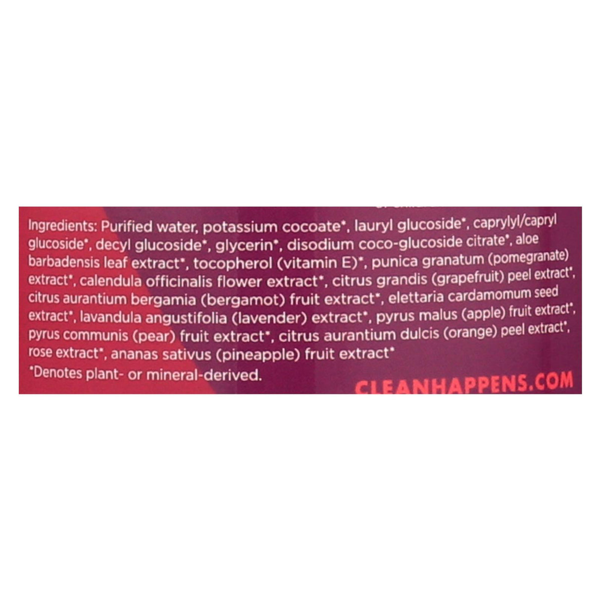 Better Life Pomegranate Dish Soap - 22 Fl Oz - Cozy Farm