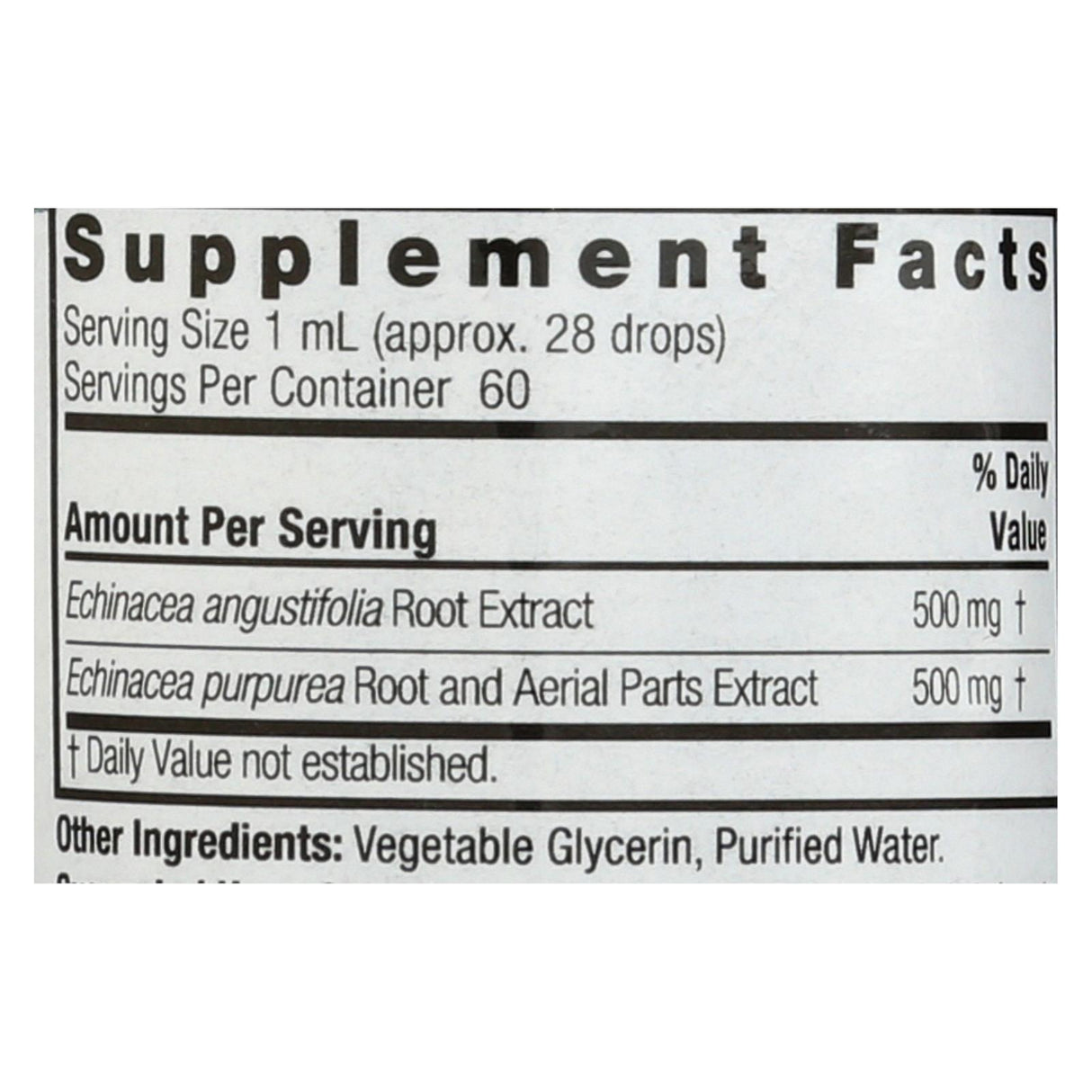 Nature's Answer Echinacea Extract Alcohol-Free, 2 Fl Oz - Cozy Farm